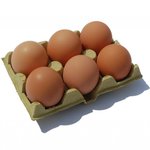 Huevos de gallina libre (6)