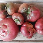Tomate rosado
