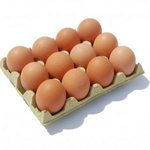 Huevos de gallina libre (12)