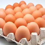 Huevos de gallina libre (30)