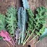 Kale Mix