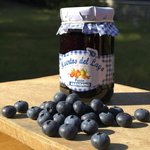 Mermelada artesanal Arandanos
