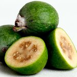Feijoa