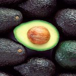 Palta Hass