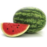 Sandía convencional