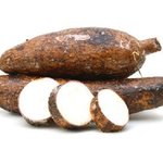 Yuca convencional