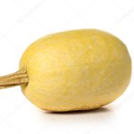 Zapallo Spaguetti